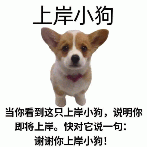上岸小狗 当你看到这只上岸小狗,说明你 即将上岸。快对它说一句: 谢谢你上岸小狗! 考研上岸表情包 《上岸小狗》表情包,看到它说明你即将上岸 ...